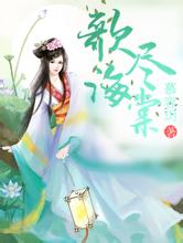 莱芜之窗正宁seo程序